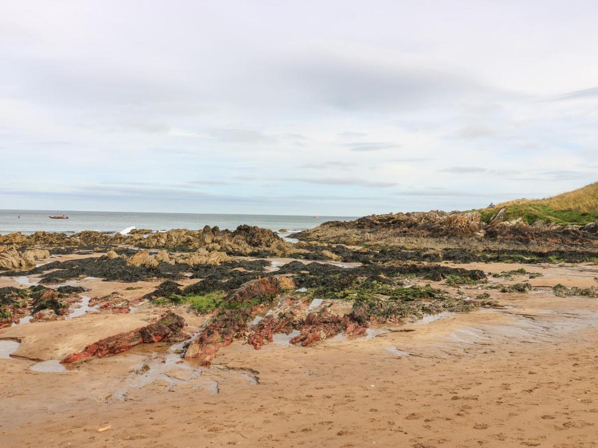 Meadow Lodge Coldingham Eksteriør bilde